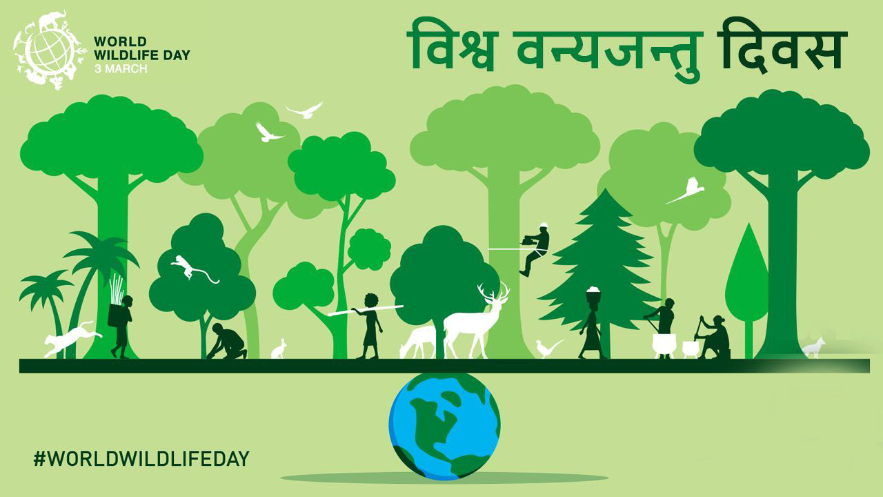 वन्यजन्तु संरक्षण आजको आवश्यकता