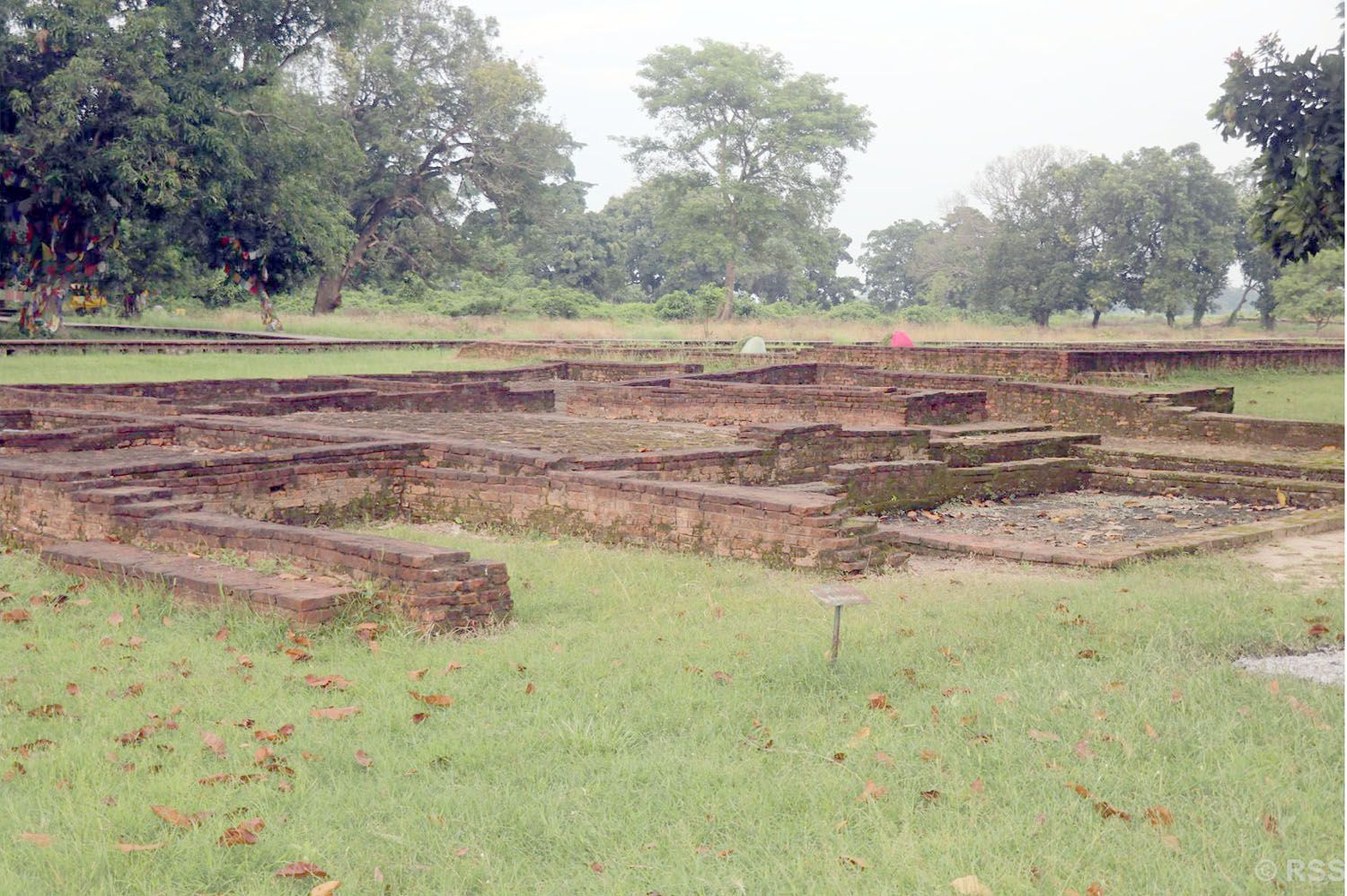 विश्वसम्पदा सूचीमा समेट्ने तयारीसँगै तिलौराकोट आसपासको जग्गा अधिग्रहण