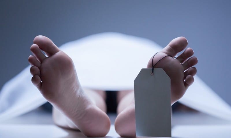 प्रदेश पाँचका विभिन्न स्थानमा भएका छुट्टाछुट्टै घटनामा पाँच जनाको मृत्यु