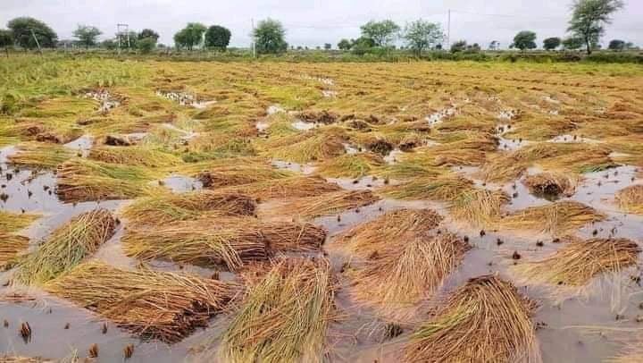 पाल्पामा बेमौसमी वर्षाले तीन करोडको क्षति, कहाँ कति ?