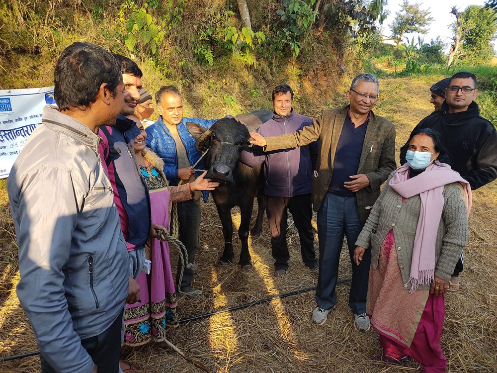 लैनो भैंसीपालन गर्ने किसानलाई अनुदान