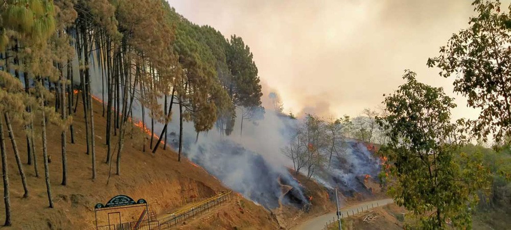 वन डढेलो नियन्त्रण सम्बन्धी मनाइयो सप्ताहव्यापी कार्यक्रम