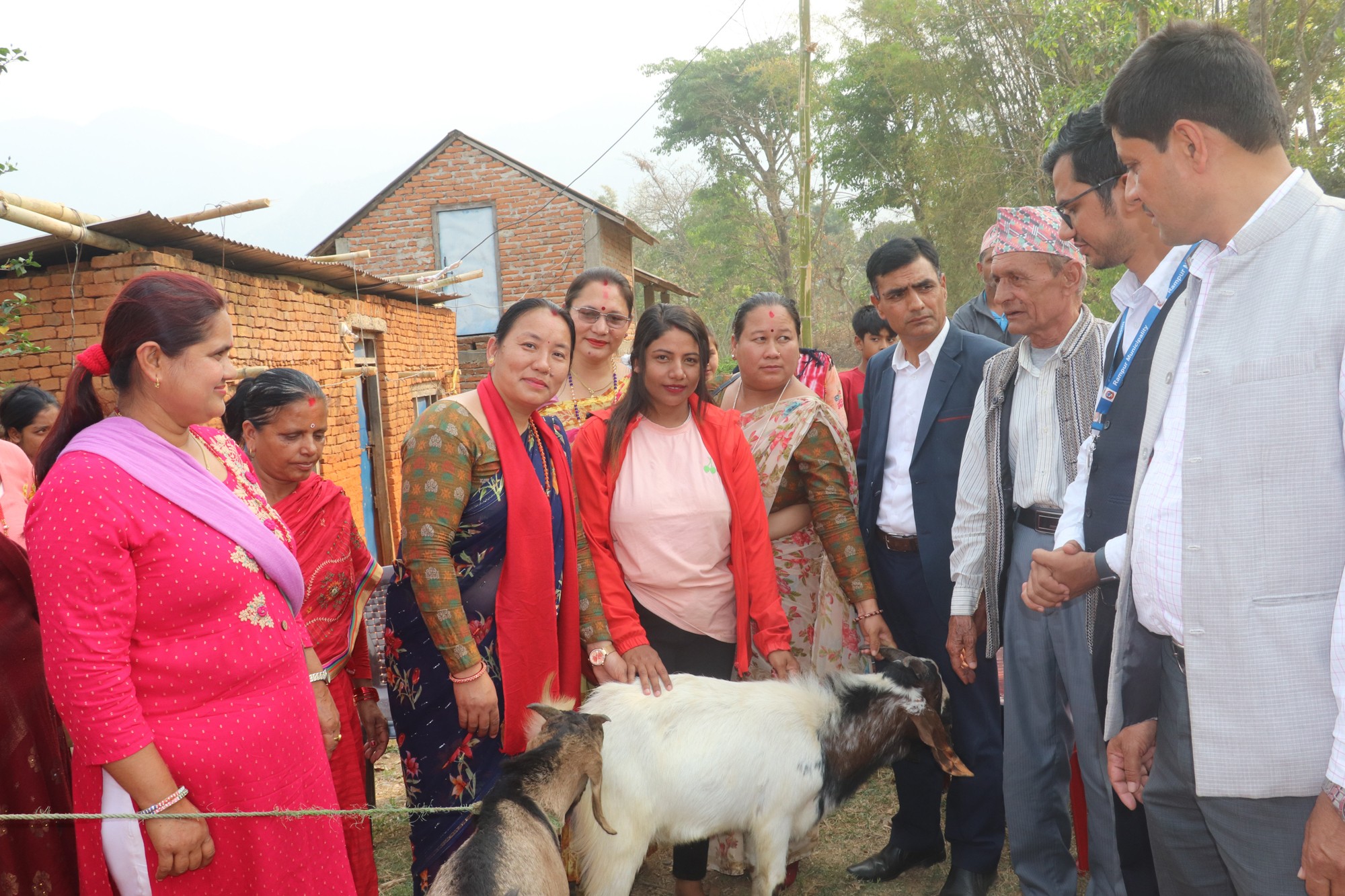 रामपुरमा उन्नत जातको विउ बोका वितरण