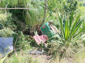 पाल्पाको रैनादेवीमा अटो दुर्घटना, ६ जना घाइते