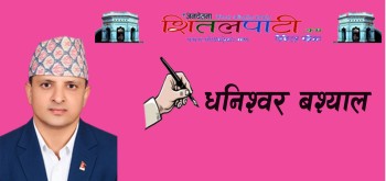 यम्घामा एभोकाडो खेती र समृद्धिको सम्भावना