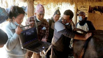 अल्ट्रासाउण्डबाट गाई–भैसीको गर्भ परीक्षणले ठूलो नोक्सानीबाट जोगाउँदै