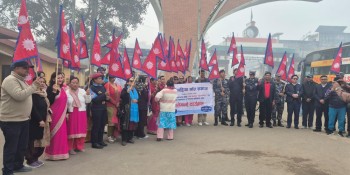 विद्युतीय पोलमा राष्ट्रिय झण्डा