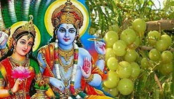 आज कुष्माण्डा नवमी पर्व