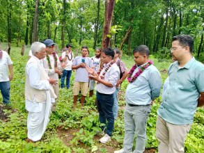 सामुदायिक वनः ग्रामीण विकासका आधार