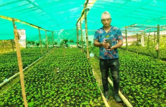 एउटै फार्मबाट एकै सिजनमा नौ हजार कफीका बिरुवा बिक्री