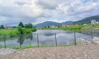 आलेखः सिँचाइ सुविधासँगै फेरिएको दाङको कृषि प्रणाली