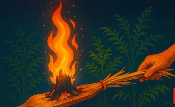 लुतो फालेर मनाइयो साउने सङ्क्रान्ति