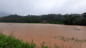 पाल्पाको माडीफाँट डुवानमा