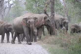 वन्यजन्तुप्रतिको बदलिँदो दृष्टिकोण