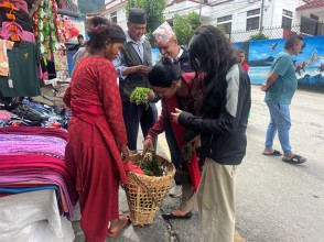 निगुरोे बेचेर घरखर्चको जोहो गर्दै कुमाल समुदाय