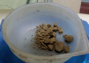 पाल्पाबाट अवैध लागूऔषध सहित एक युवक पक्राउ