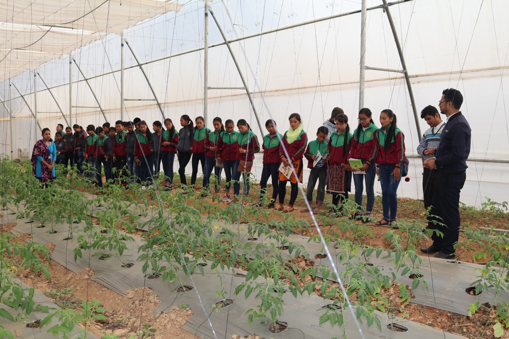 हाईटेक टनेलबाट कृषि प्रविधि सिकाउँदै रामपुर नगरपालिका