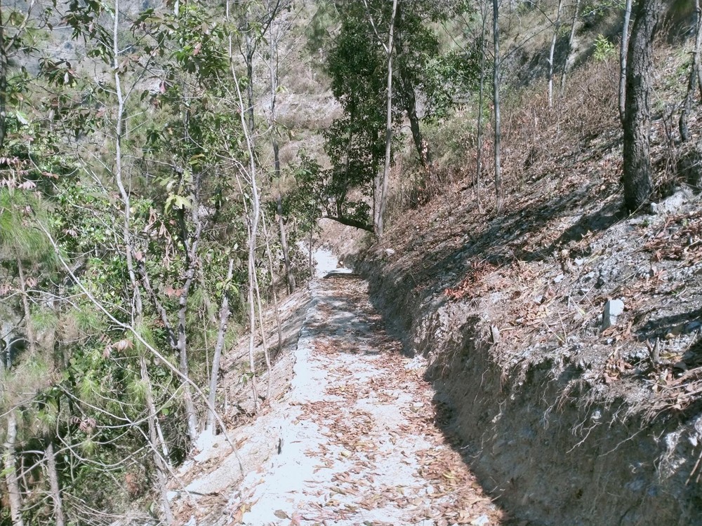 पर्यटकीय गन्तव्य पाण्डुकेश्वर गुफासम्म पुग्न पर्यटन पदमार्ग निर्माण