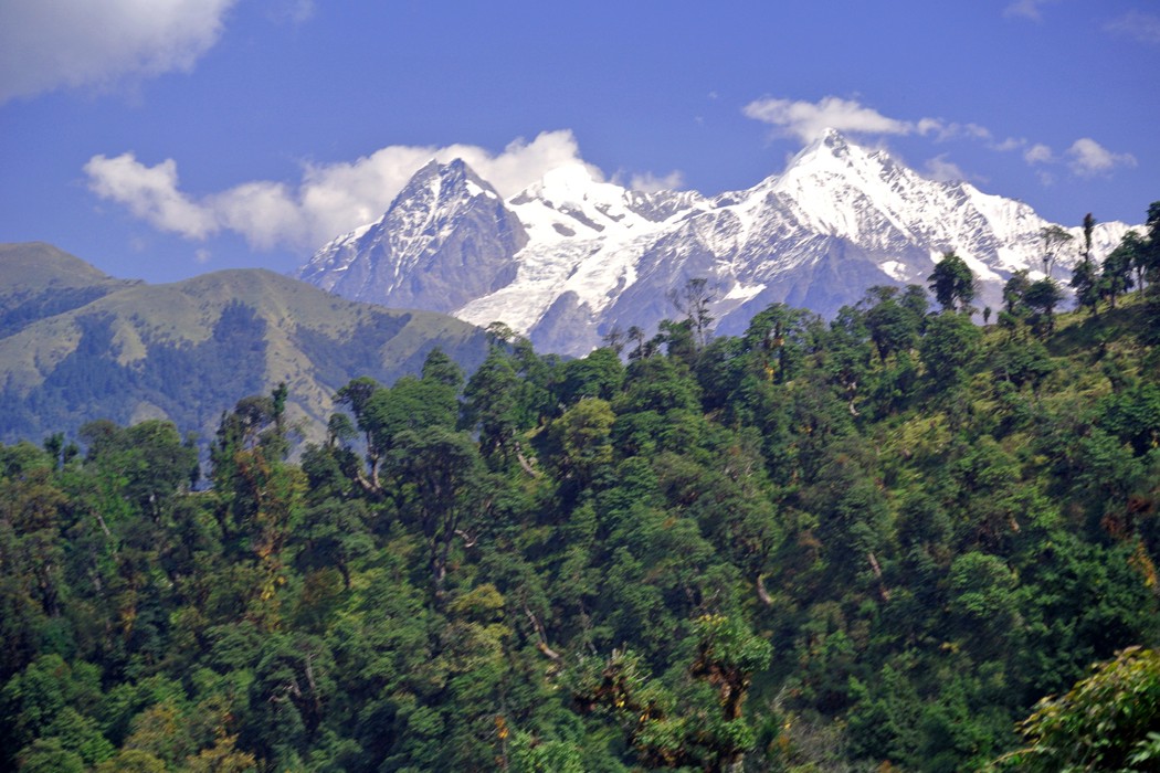 पर्यटकीय क्षेत्र बन्दै राम्चे सामुदायिक वन