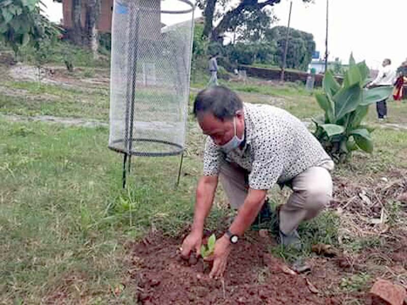 लायन्स क्लव अफ पाल्पाद्वारा वृक्षारोपण