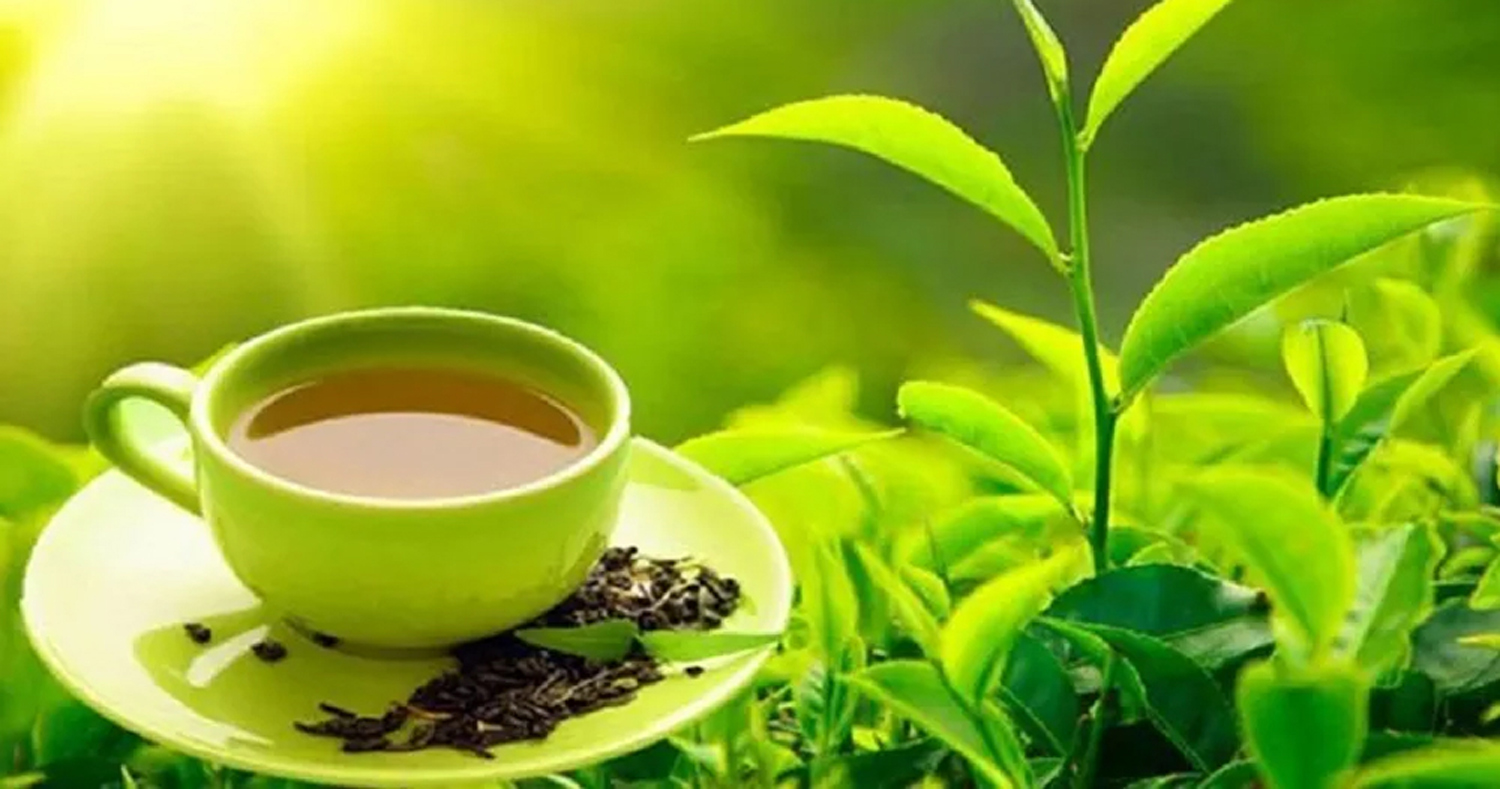 आज राष्ट्रिय चिया दिवस