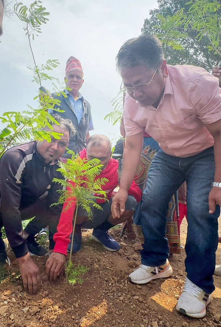 पाल्पा जेसिजद्वारा वातावरण दिवसमा बतासेडाँडामा वृक्षारोपण