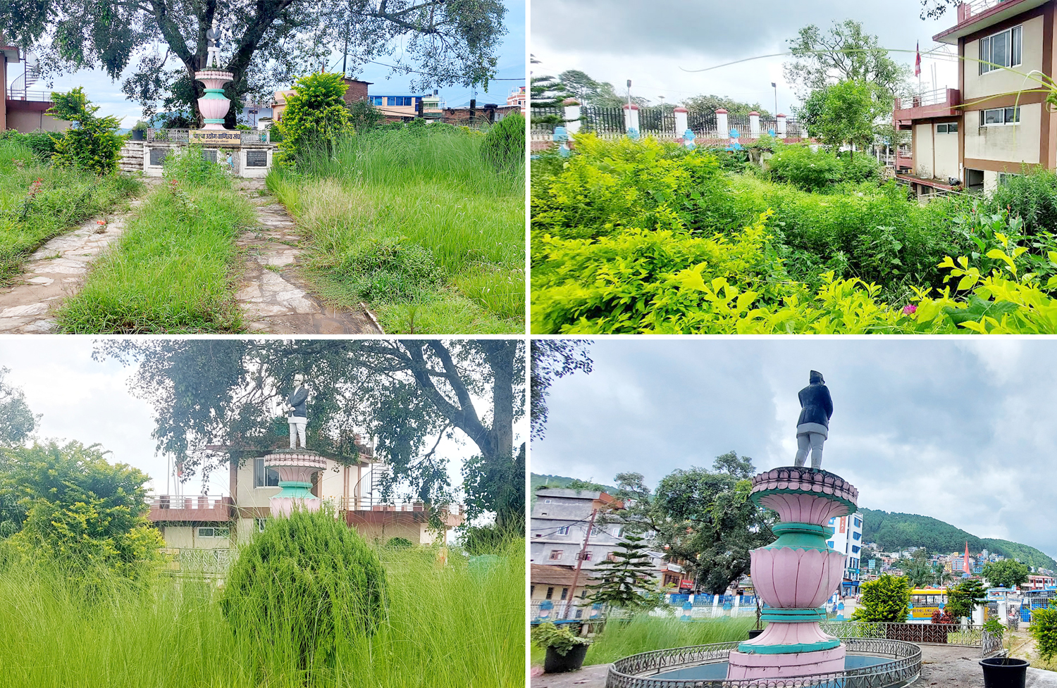 घाँसे मैदानमा परिणत ‘वीरेन्द्र फुलबारी’