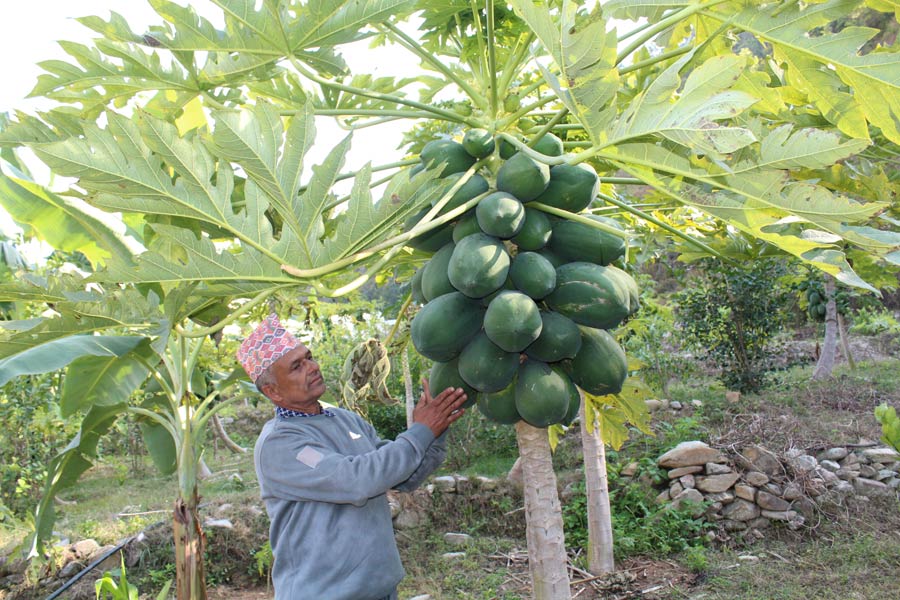 मासिक डेढ लाख कमाउँछन् हिरालालले 