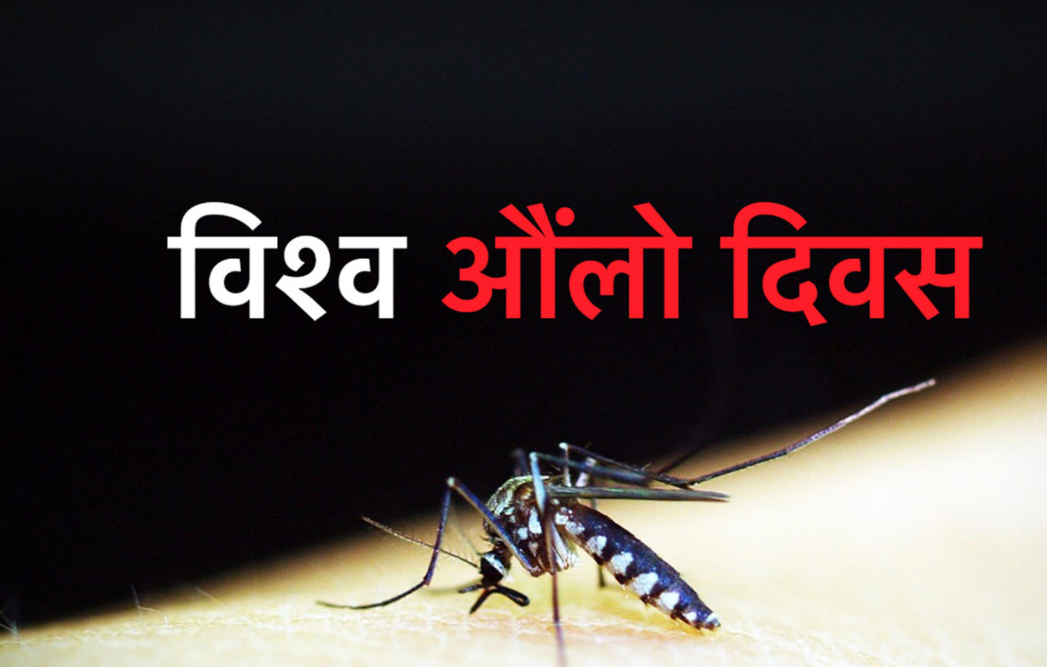  आज विश्व औलो दिवस नेपालमा पनि मनाइँदै