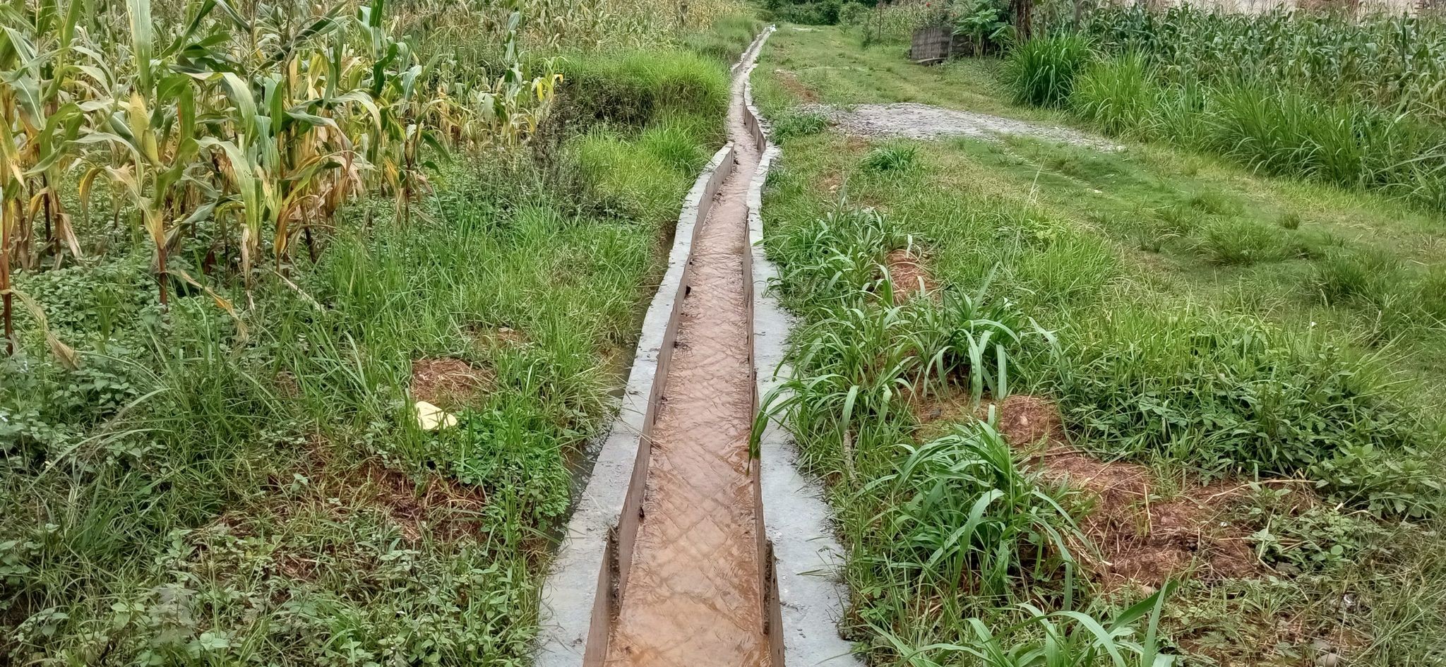 सिँचाइले बाँझो जमिन हराभरा