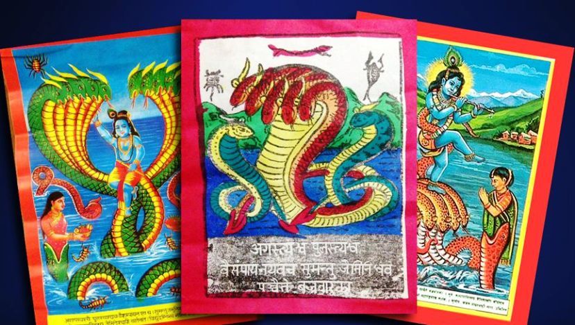 समयसँगै परिवर्तित ‘नाग पञ्चमी’