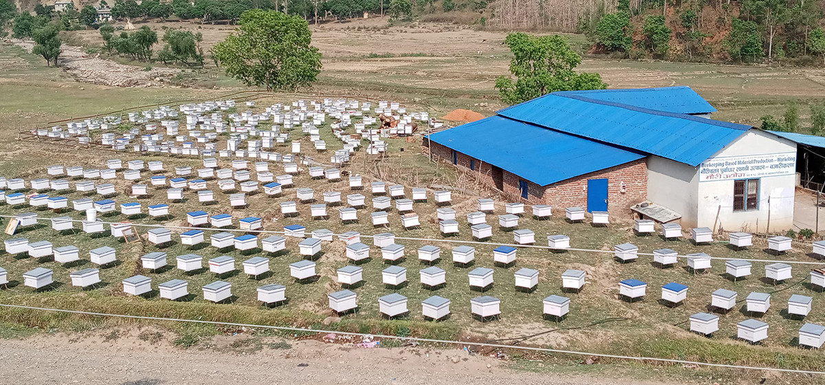 मौरीपालन व्यवसायमा ६० वर्षीय दीपकुमार 