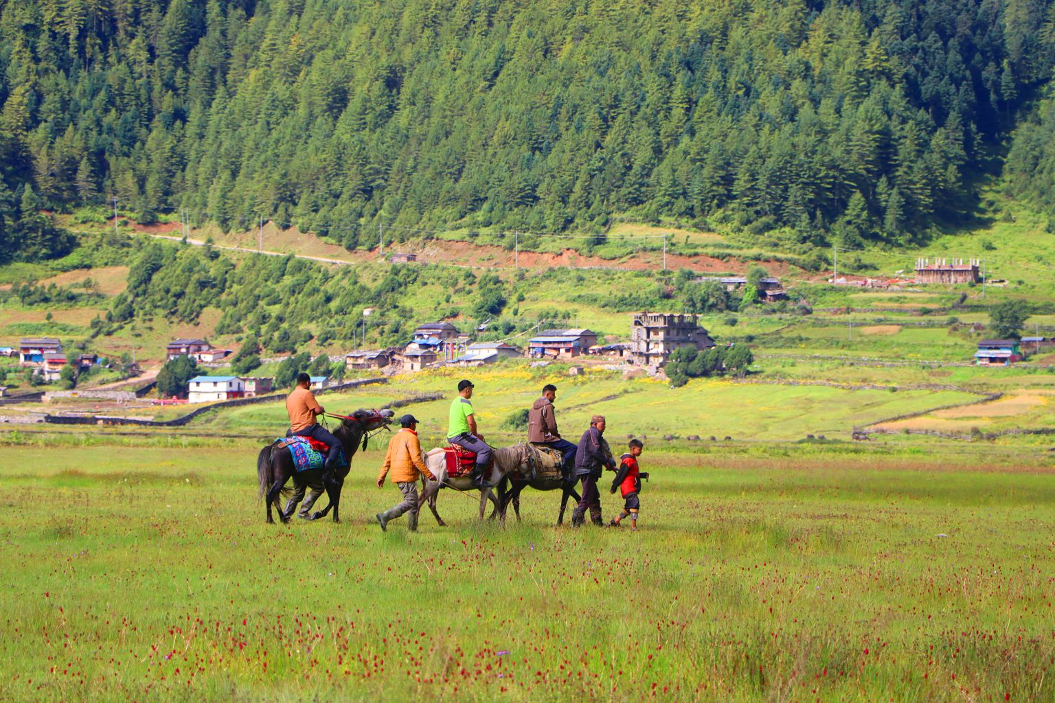 ढोरपाटनमा पर्यटक बढेपछि घोडा व्यवसाय फस्टाउँदै