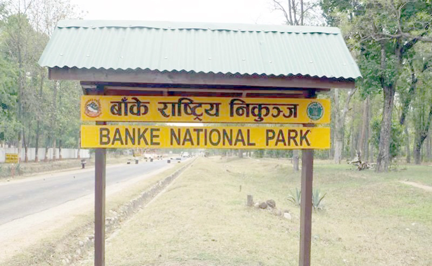 घडियाल गोहीको प्राकृतिक वासस्थान जोखिममा