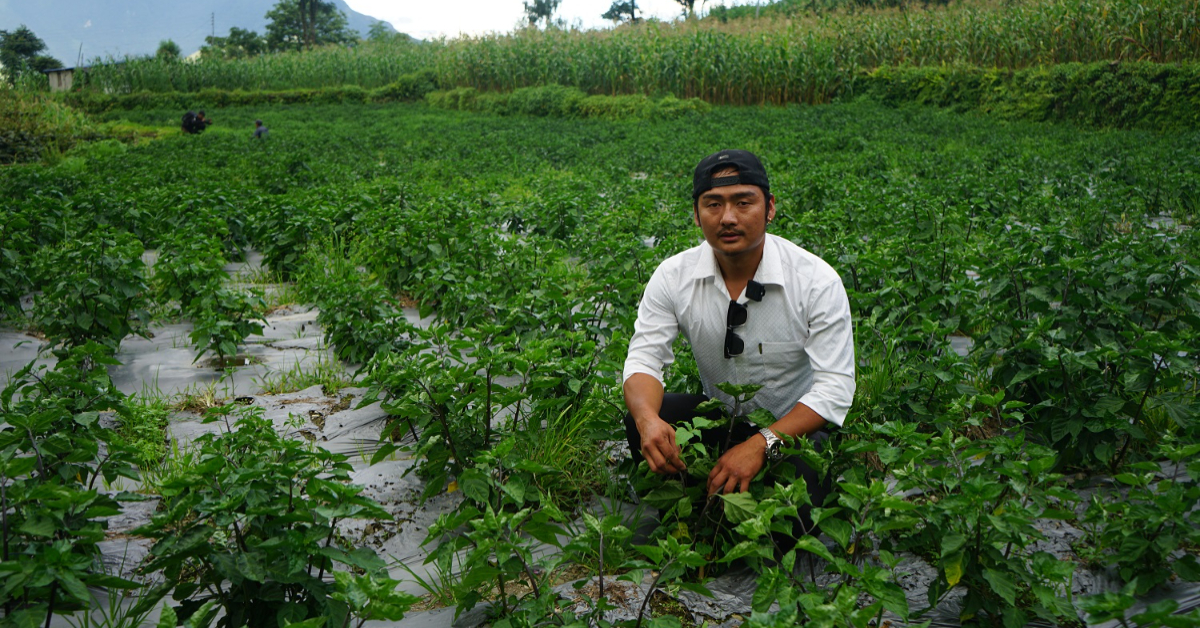 कराते खेलाडी अकबरे खुर्सानीखेतीमा व्यस्त