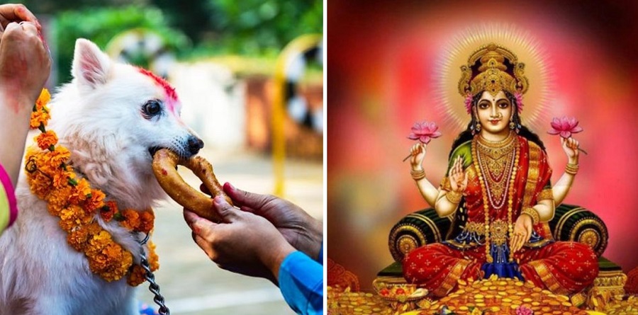 आज लक्ष्मी पूजा र कुकुर तिहार मनाइँदै