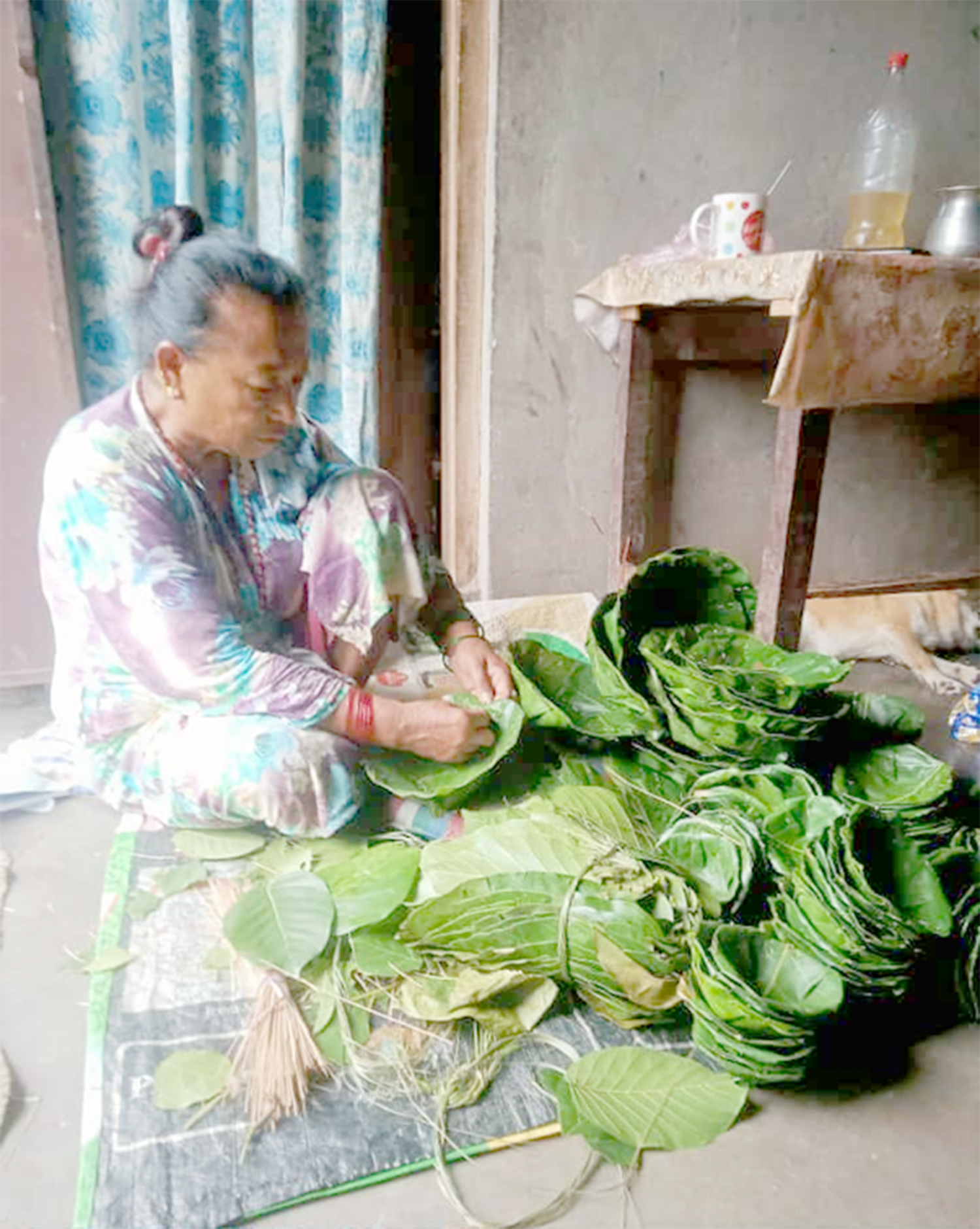 आम्दानीको श्रोत बन्दै दुना–टपरी