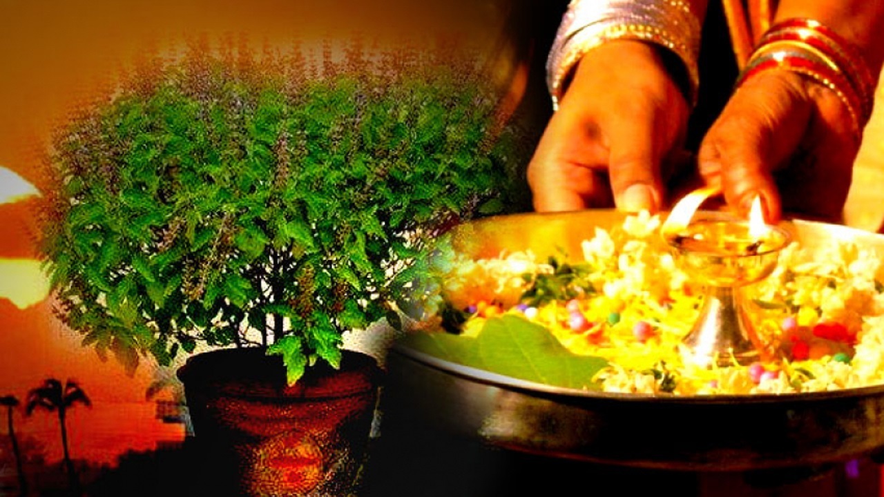 आज घरघरमा तुलसीको दल राखिंदै