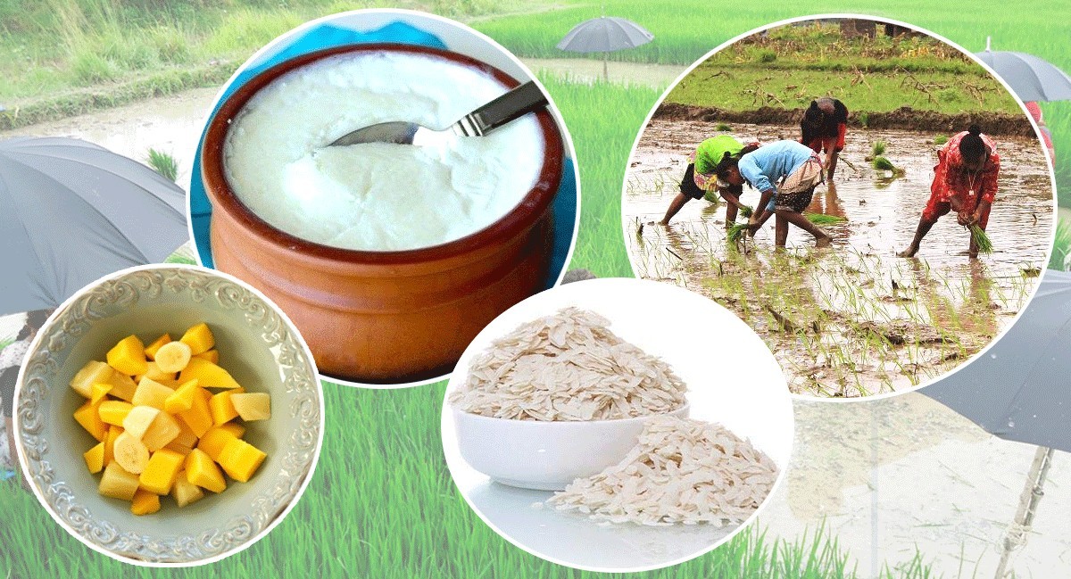 असार १५ : धान दिवस र दही चिउराको सांस्कृतिक पर्व मनाइँदै