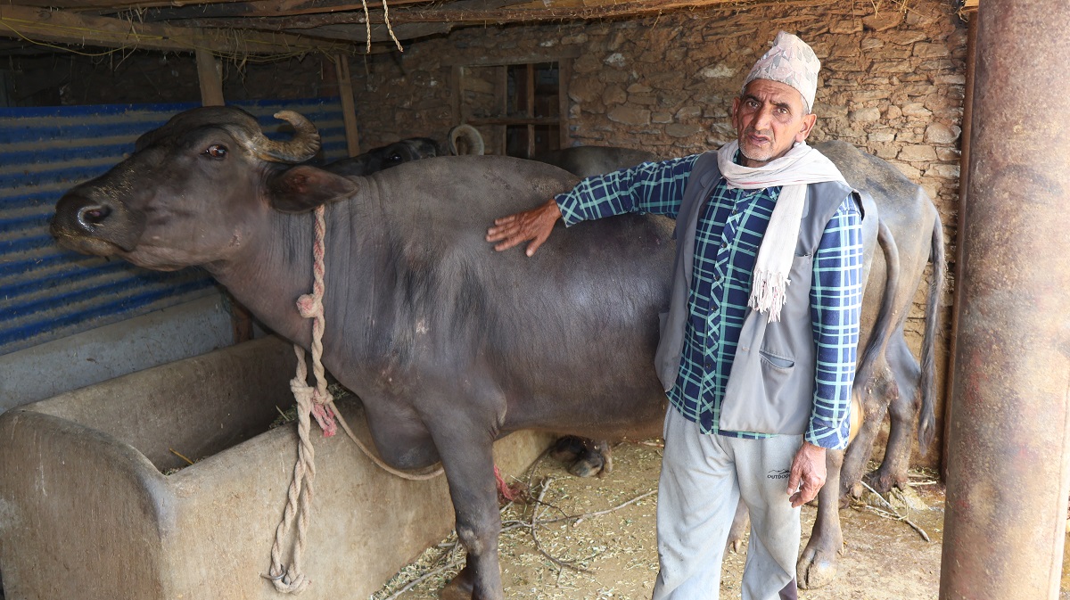 दूध र मह बिक्रीबाट मनग्य आम्दानी