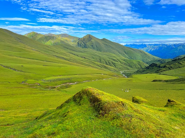 आन्तरिक पर्यटकको रोजाइमा बराहताल र बुकीपाटन   