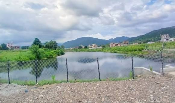 आलेखः सिँचाइ सुविधासँगै फेरिएको दाङको कृषि प्रणाली