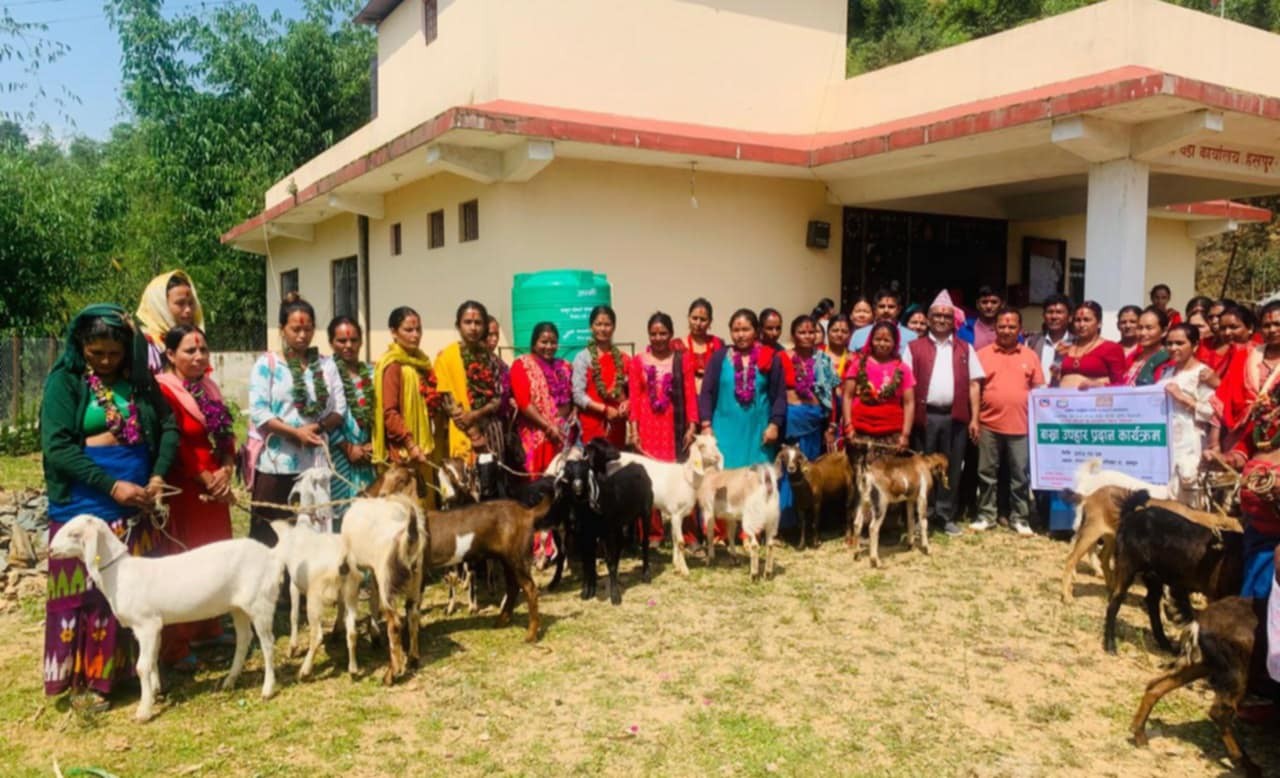 अर्घाखाँचीको मालारानीमा कृषकलाई बाख्रा वितरण