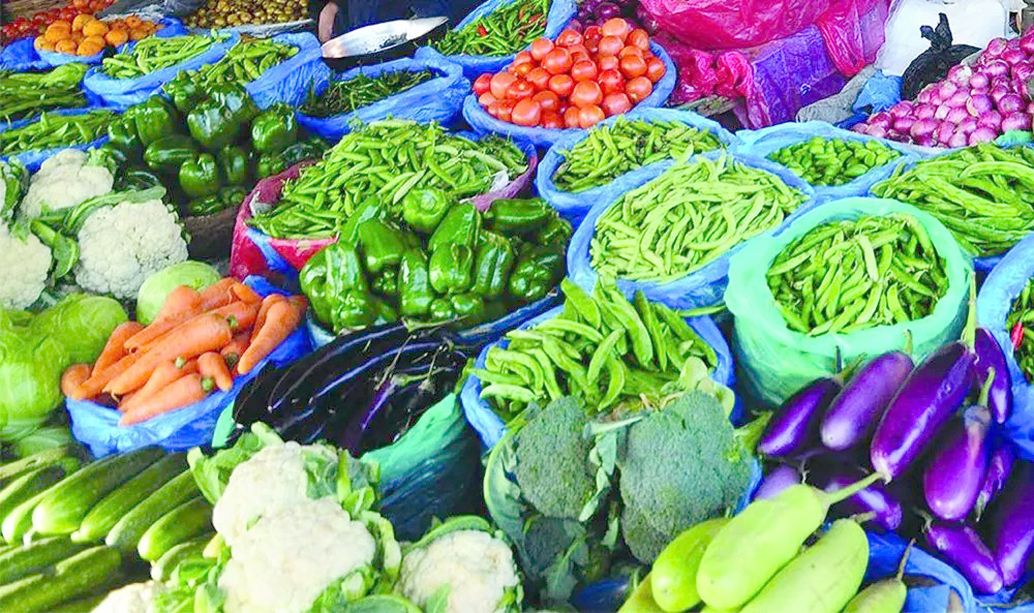 भारतीय सागसब्जीमा कडाइ, बाँकेका किसानको उत्पादनले पायो बजार